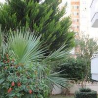 Квартира на второй линии моря/озера, в пригороде в Турции, 65 кв.м.