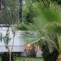 Flat at the second line of the sea / lake, in the city center in Turkey, 58 sq.m.