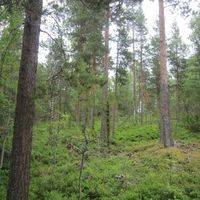 Island in Finland, Central Finland, Luhanka