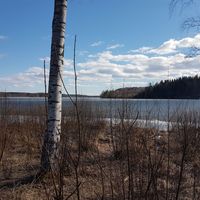 Land plot in Finland, South Karelia, Parikkala