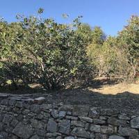 Land plot in Italy, San Donnino