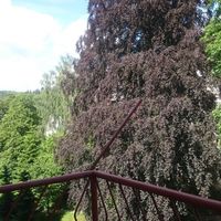 Flat Czechia, Karlovy Vary Region, Marianske Lazne, 87 sq.m.