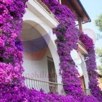 Вилла в Италии, Сан-Донино, 300 кв.м.