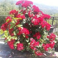 Дом в Италии, Сан-Донино, 70 кв.м.