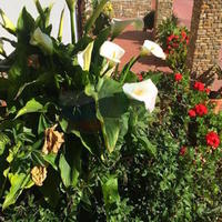 Villa in Italy, San Donnino, 300 sq.m.