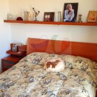 Дом в пригороде в Италии, Вентимилья, 250 кв.м.