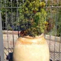 Дом в пригороде в Италии, Вентимилья, 250 кв.м.