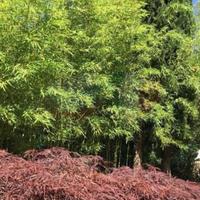 Villa in the suburbs in Italy, San Donnino, 140 sq.m.