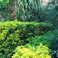 Villa in Italy, San Donnino, 250 sq.m.