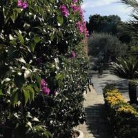 Villa in Italy, San Donnino, 300 sq.m.