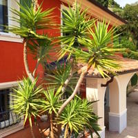 Villa in the suburbs in Italy, San Donnino, 250 sq.m.