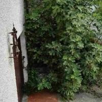 Villa in Italy, San Donnino, 270 sq.m.