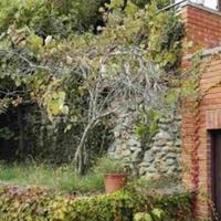 Villa in Italy, San Donnino, 270 sq.m.