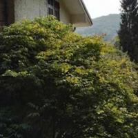 Villa in Italy, San Donnino, 270 sq.m.