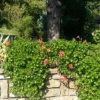 Дом в Италии, Сан-Донино, 350 кв.м.