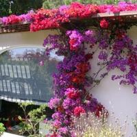 Вилла в центре города в Италии, Вентимилья, 110 кв.м.