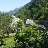 Земельный участок в пригороде в Черногории, Бар, Будва