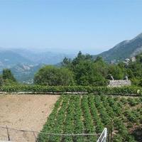 Земельный участок в пригороде в Черногории, Бар, Будва