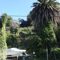 Земельный участок на первой линии моря/озера в Черногории, Тиват