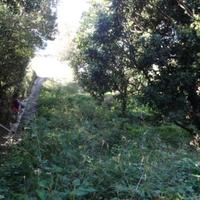 Земельный участок на первой линии моря/озера в Черногории, Тиват