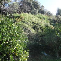 Земельный участок на первой линии моря/озера в Черногории, Тиват