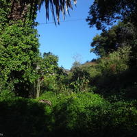 Земельный участок на первой линии моря/озера в Черногории, Тиват