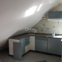 Other in Slovenia, Maribor, Ljubljana, 301 sq.m.