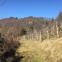 Other in Slovenia, Ljubljana, 561 sq.m.