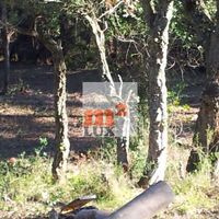 Land plot in Spain, Catalunya, Girona