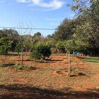 House in Spain, Balearic Islands, Palma