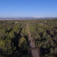 Land plot in Spain, Balearic Islands, Palma