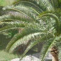 Квартира на второй линии моря/озера в Испании, Валенсия, Аликанте, 100 кв.м.