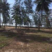 Land plot at the seaside in Thailand, Phuket