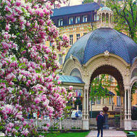 Отель (гостиница) в Чехии, Карловарский край, Карловы Вары