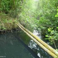 House in Guyane, 1300 sq.m.