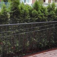 Апартаменты в Болгарии, Солнечный Берег, 35 кв.м.