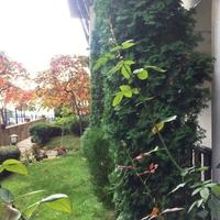 Апартаменты на первой линии моря/озера в Болгарии, Бургасская область, Елените, 58 кв.м.