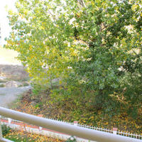 Apartment in the city center in Bulgaria, Sunny Beach, 67 sq.m.