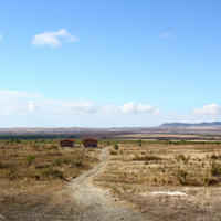 Land plot in Bulgaria, Burgas Province, Elenite