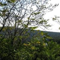 House in the suburbs in Montenegro, 132 sq.m.