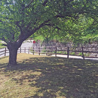 House in Slovenia, Most na Soci, 300 sq.m.