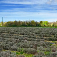 Дом в Словении, Мост-на-Сочи, 531 кв.м.