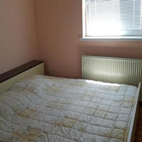 Дом в Словении, Марибор, Любляна, 150 кв.м.