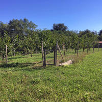 House in Slovenia, Most na Soci, 500 sq.m.