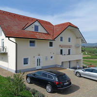 House in Slovenia, Maribor, Ljubljana, 330 sq.m.