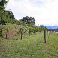 House in Slovenia, Most na Soci, 160 sq.m.