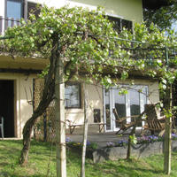 Дом в Словении, Марибор, Любляна, 240 кв.м.