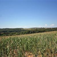 House in Slovenia, Most na Soci, 240 sq.m.