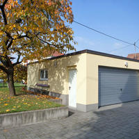 Дом в Словении, Марибор, Любляна, 255 кв.м.