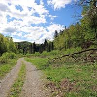 Land plot in Slovenia, Ljubljana